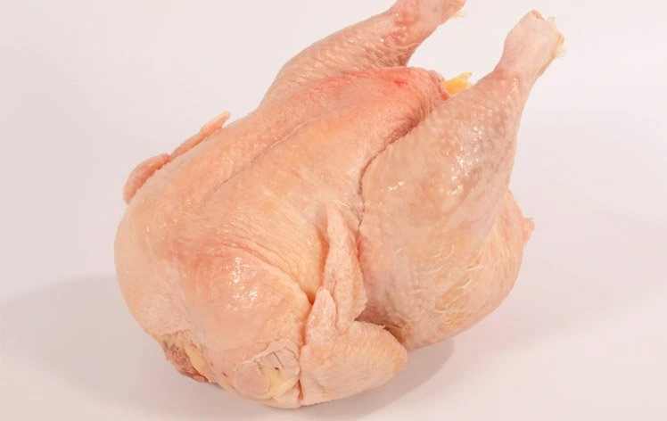 Pollos frescos y congelados